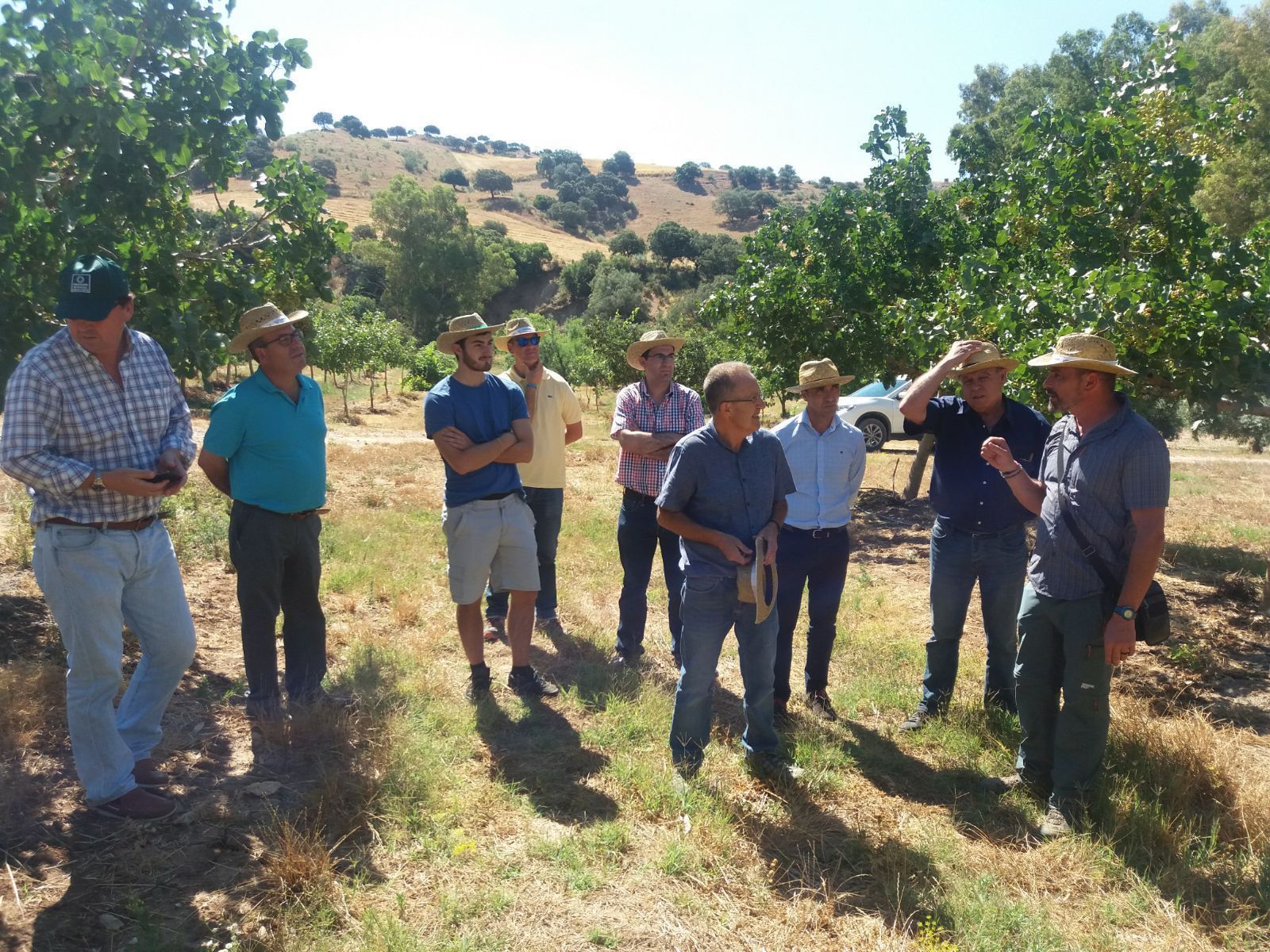 Agricultores y responsables políticos en una plantación de pistacho.