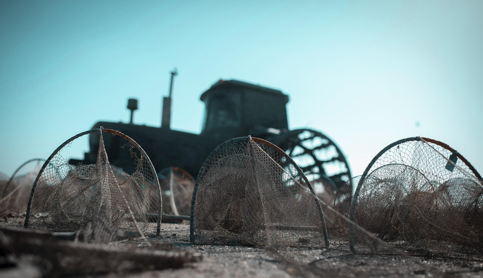 La ruta del arroz, en imágenes