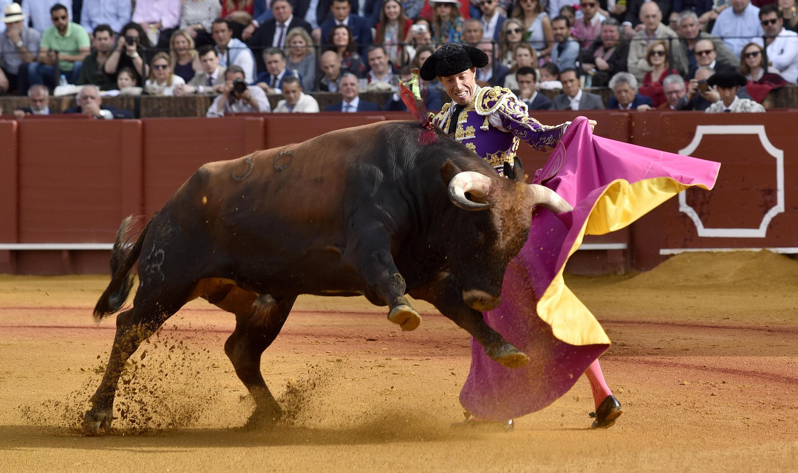 Las imágenes de la 14ª de abono de la Maestranza