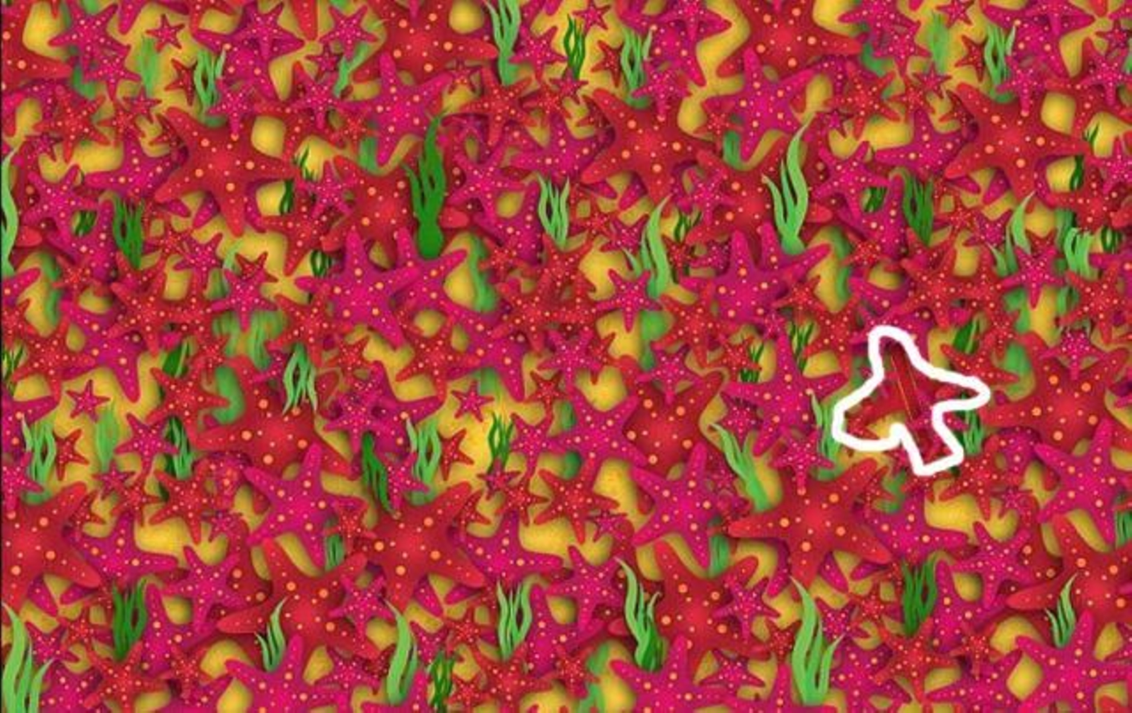 ¿Dónde está el avión? Aquí la solución