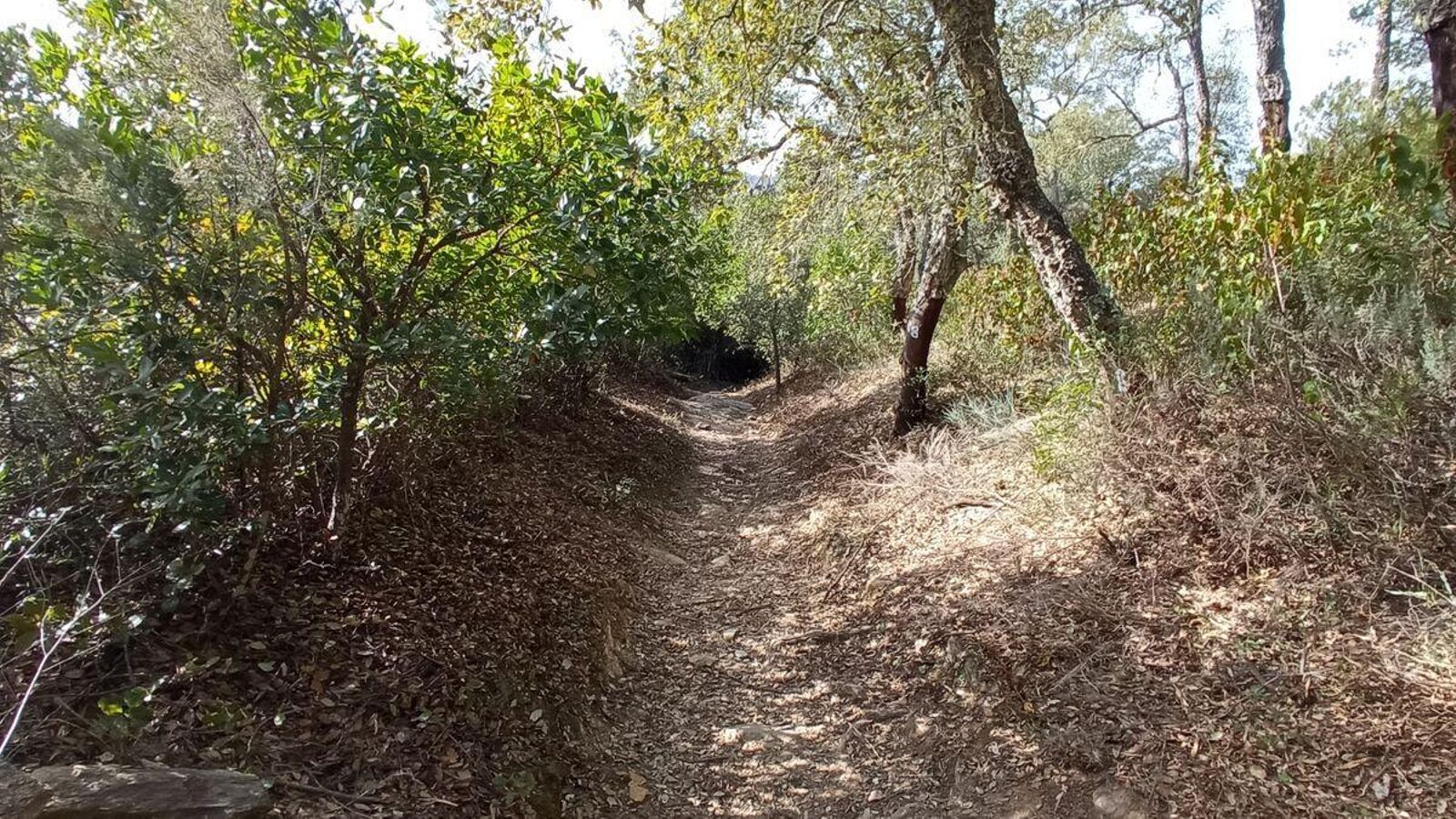 Detalle del sendero hacia Fuenteheridos