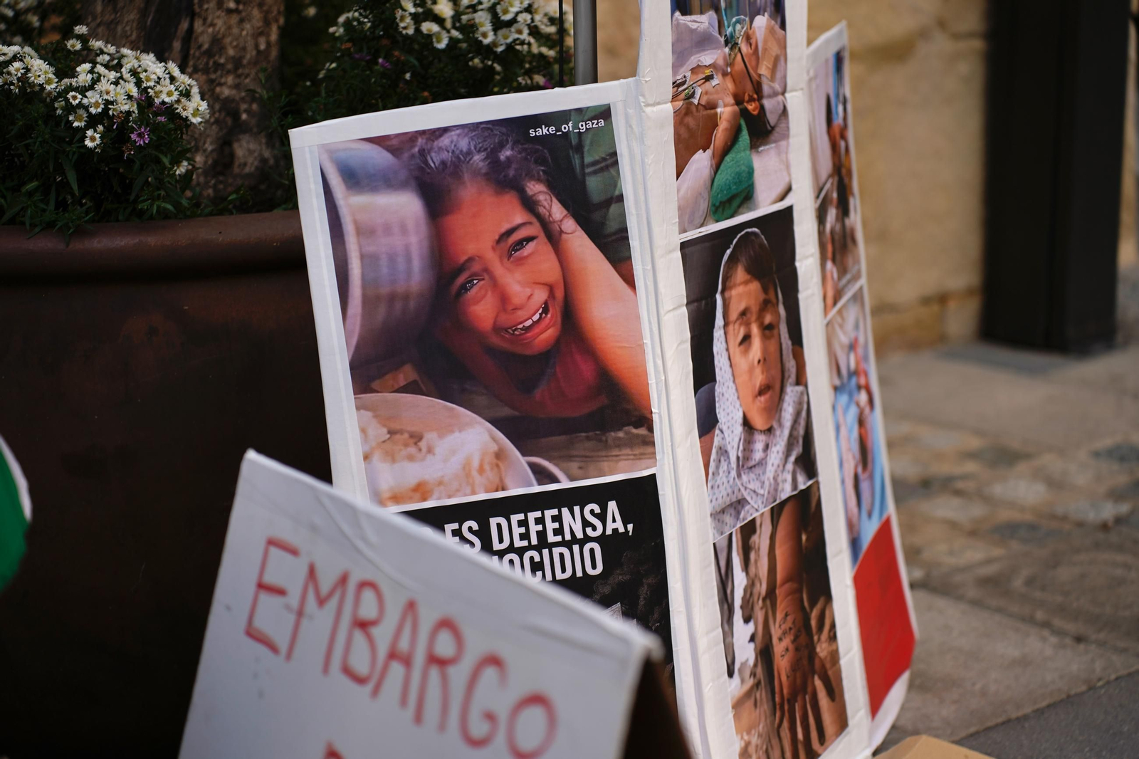 La recogida de firmas en Algeciras por la bandera de Palestina, en imágenes