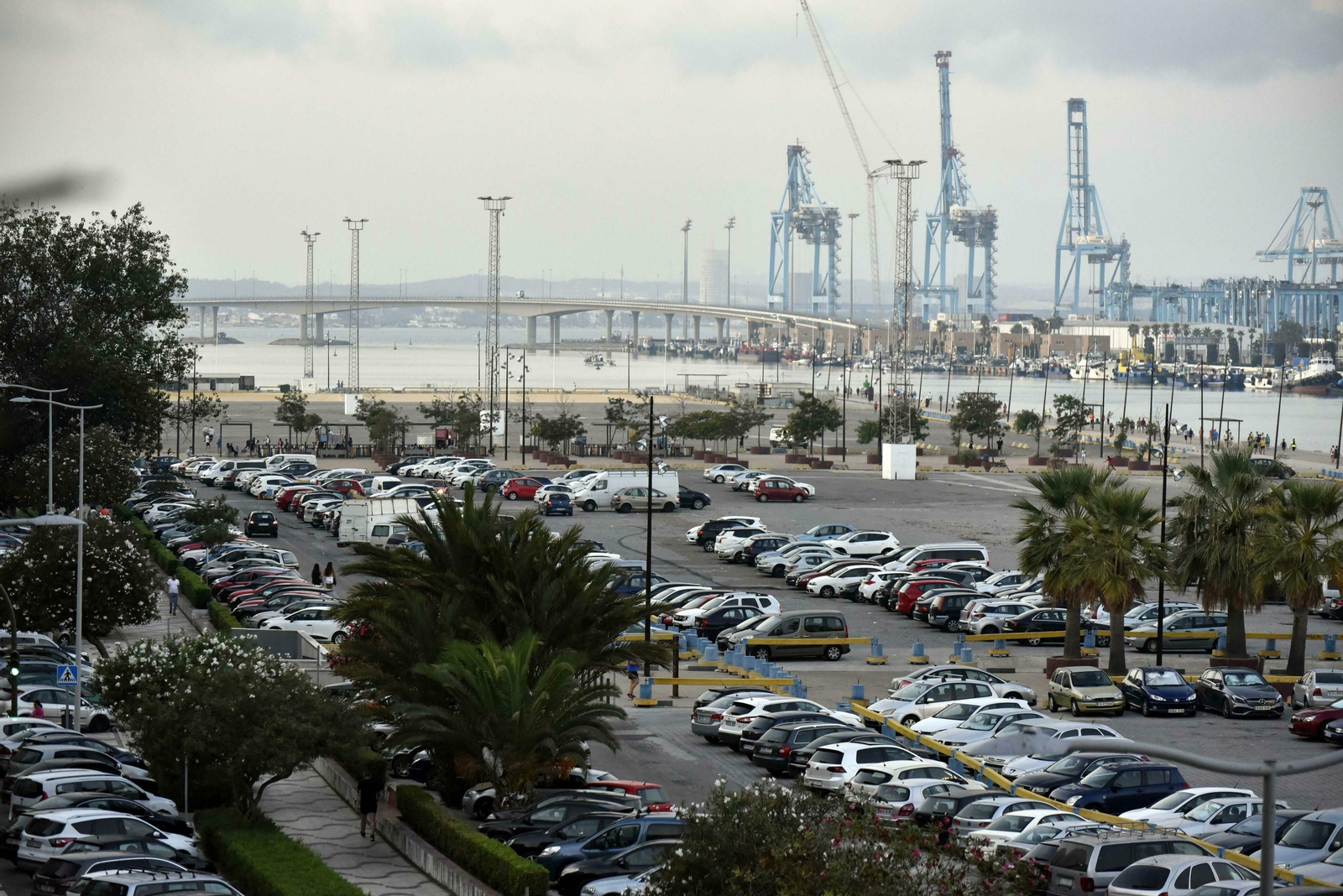 El extremo oriental del Llano Amarillo de Algeciras, lugar pensado para la Universidad Europea del Mar