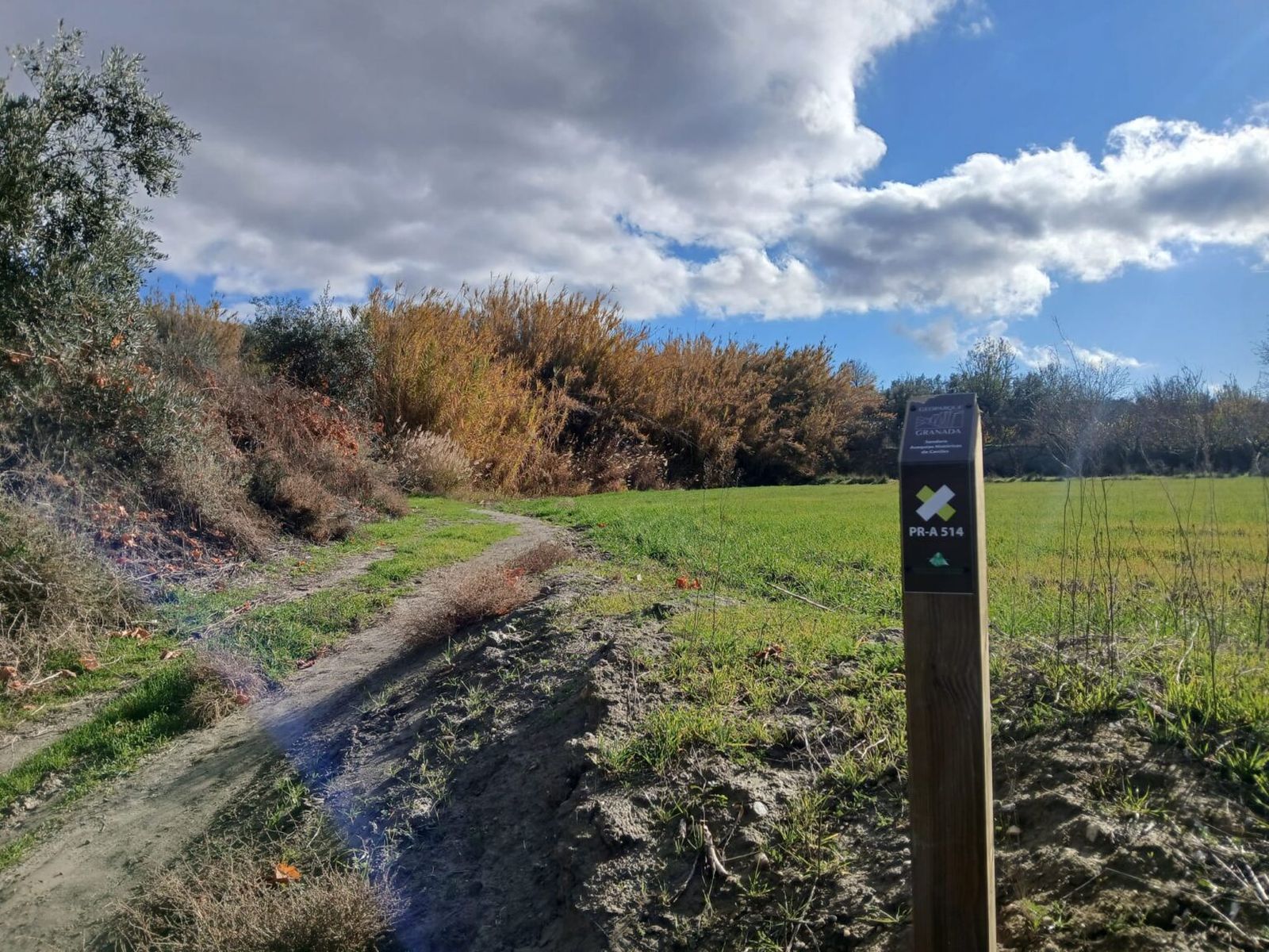 El sendero pasa también junto a huellas del pasado industrial del municipio, como la antigua Azucarera de Nuestra Señora de las Mercedes