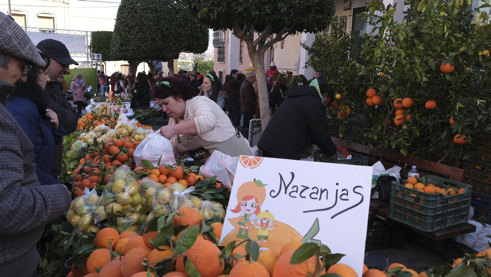 Imágenes del Día de la Naranja, en Gádor