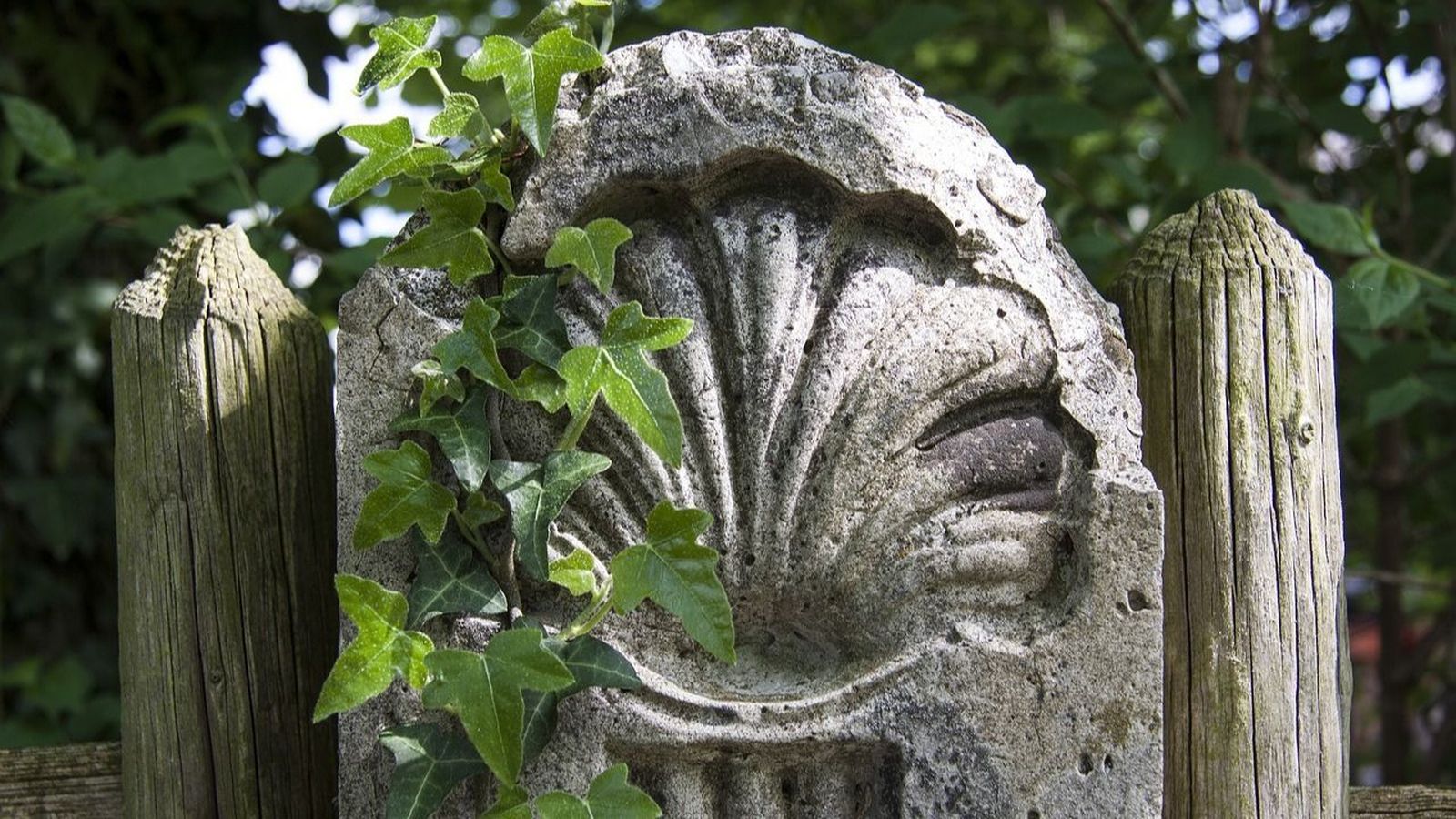 Disfruta de la auténtica magia del Camino de Santiago con Santiago Ways