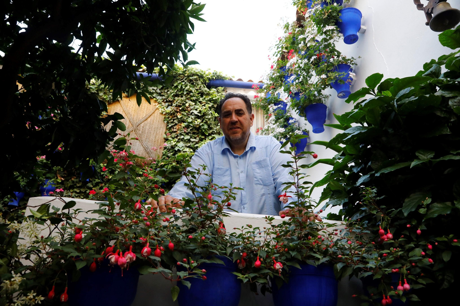 Los ganadores del Concurso de Patios de Córdoba 2023, en imágenes