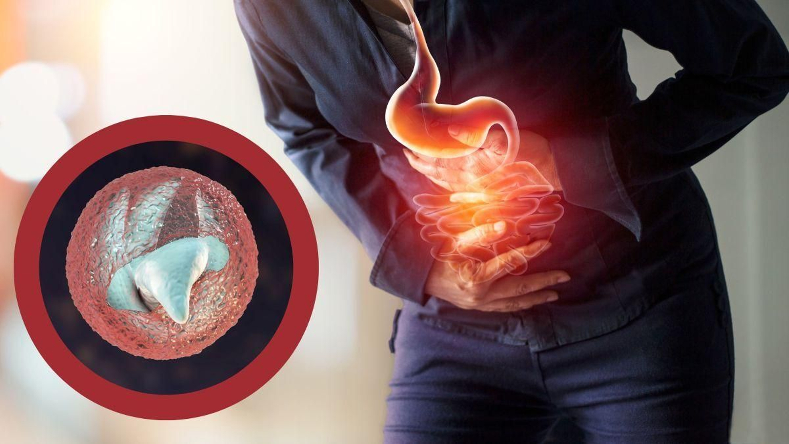 Criptosporidiosis, los parásitos que puedes confundir con una gastroenteritis común por sus síntomas