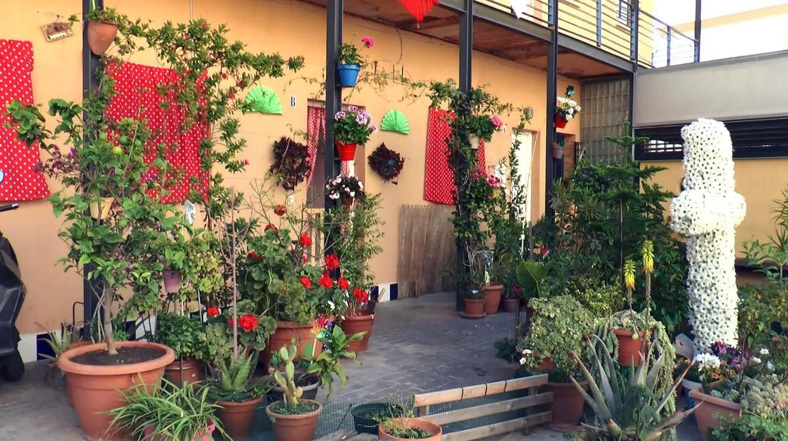 Concurso de Cruces de Mayo y Patios 2022 en Puerto Real