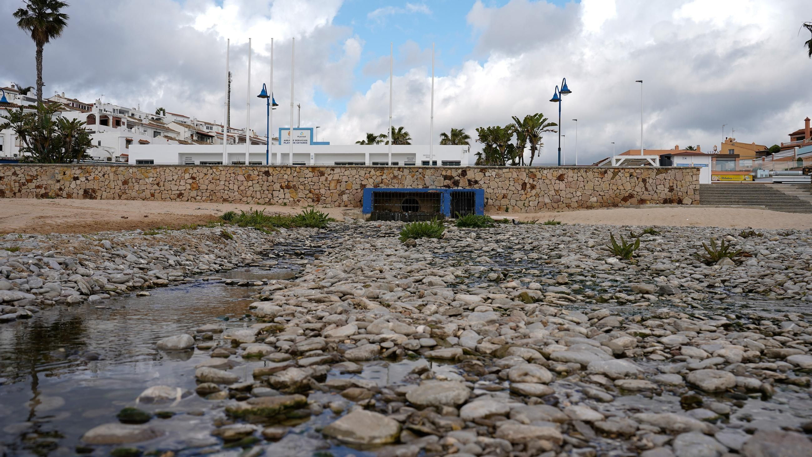 Fotos de la playa de Getares llena de cañas y desechos