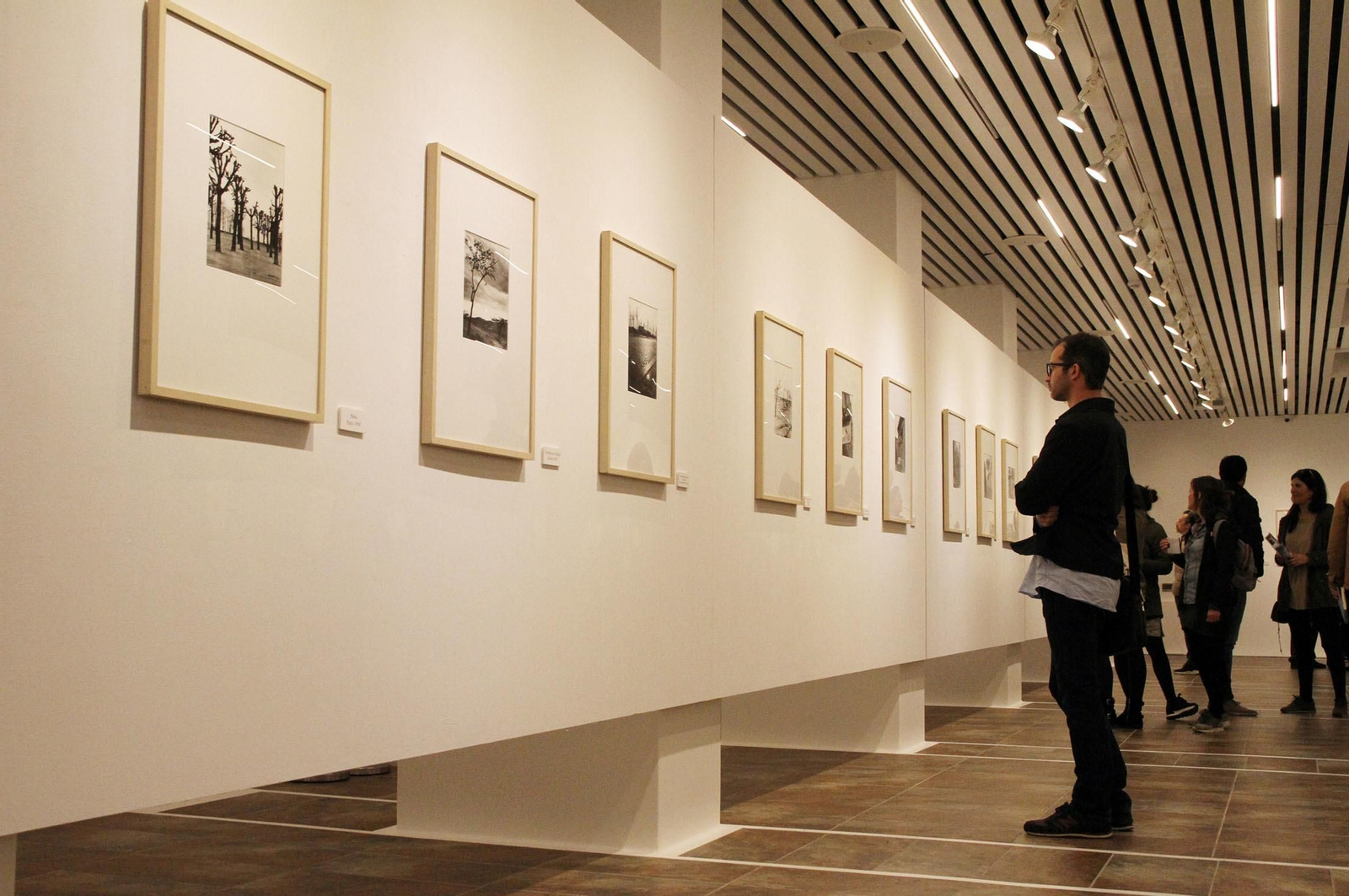 Latitudes. Exposición de Bernhard Wicki "Retrospectiva", en imágenes