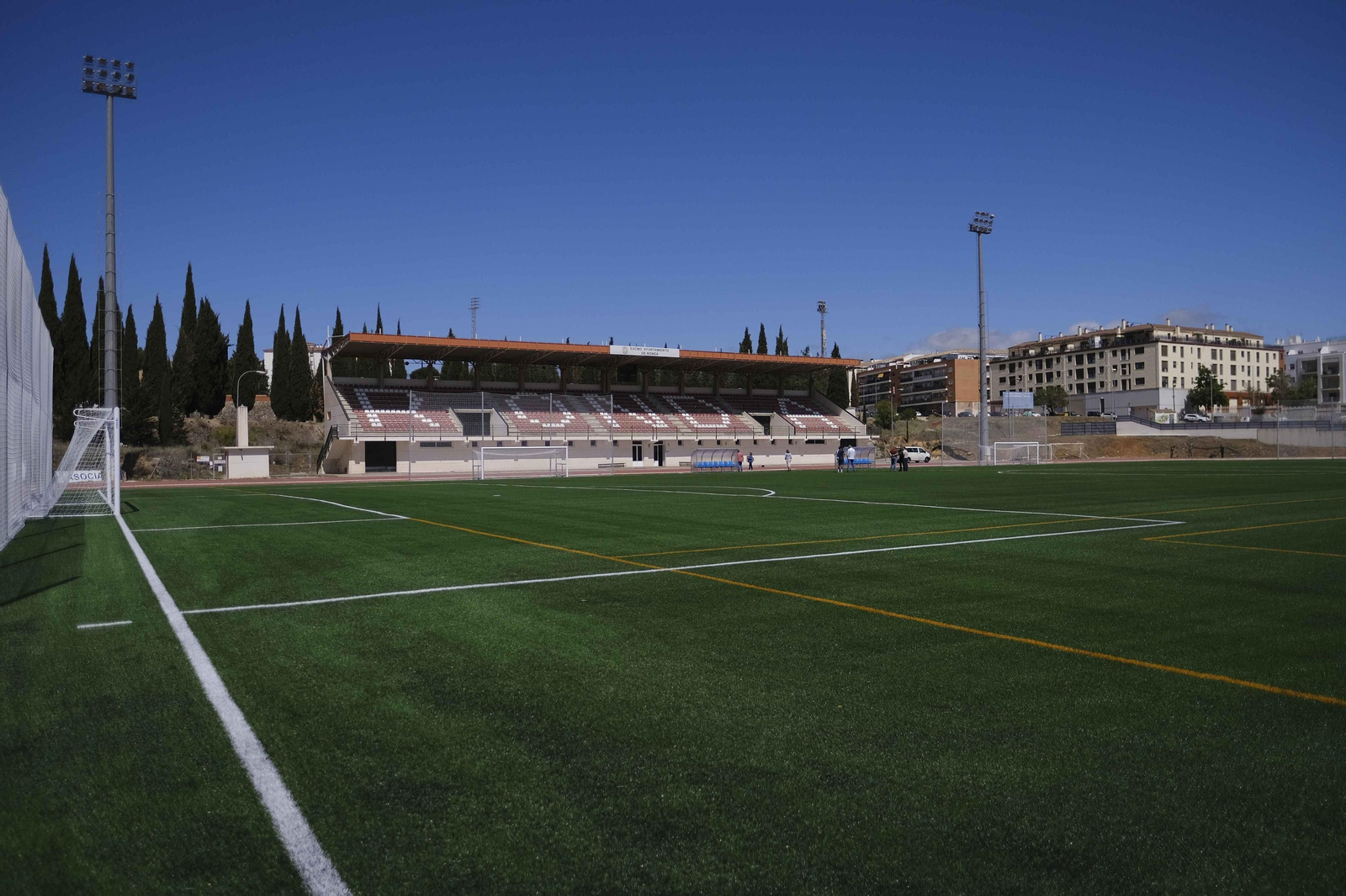 Césped artificial que sustituye  a la hierba natural que hasta ahora tenía.