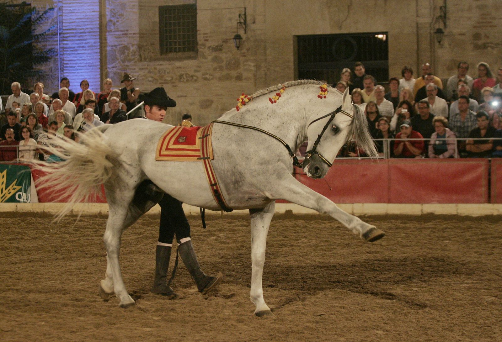 Espectáculo ecuestre en Caballerizas Reales.