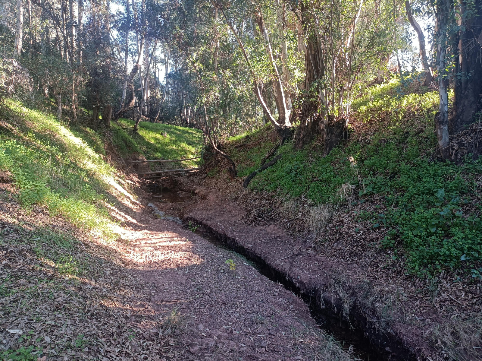 El paisaje en esta zona va embelleciéndose a cada paso. El paisaje en esta zona va embelleciéndose a cada paso.
