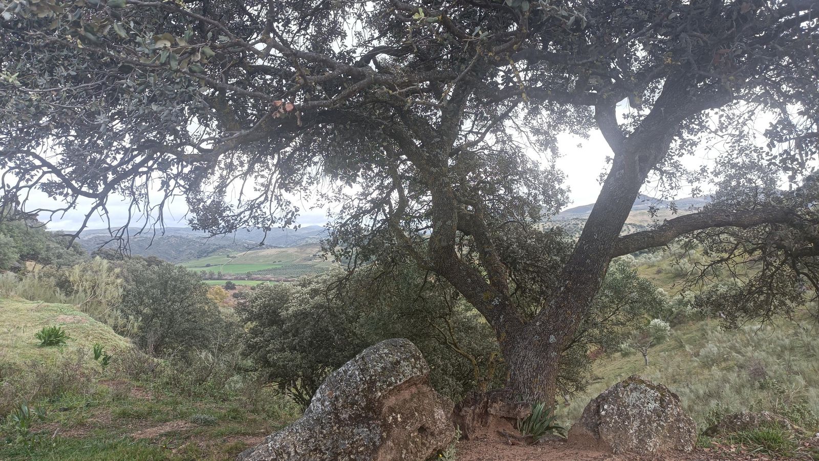 Disfrutaremos mucho del entorno.