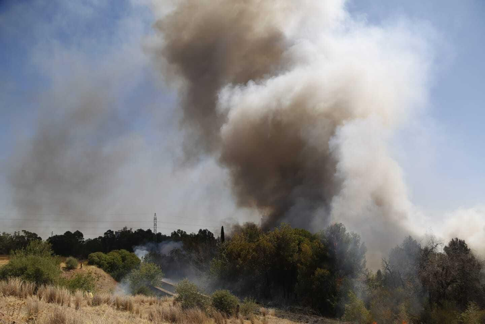 El incendio en el campamento chabolista del polígono de Chinales de Córdoba, en imágenes
