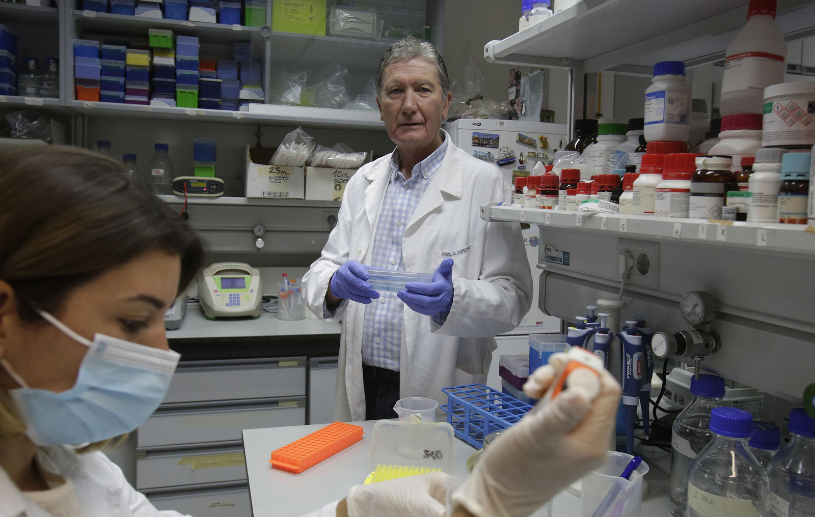 El catedrático Sánchez Alcázar en su laboratorio.