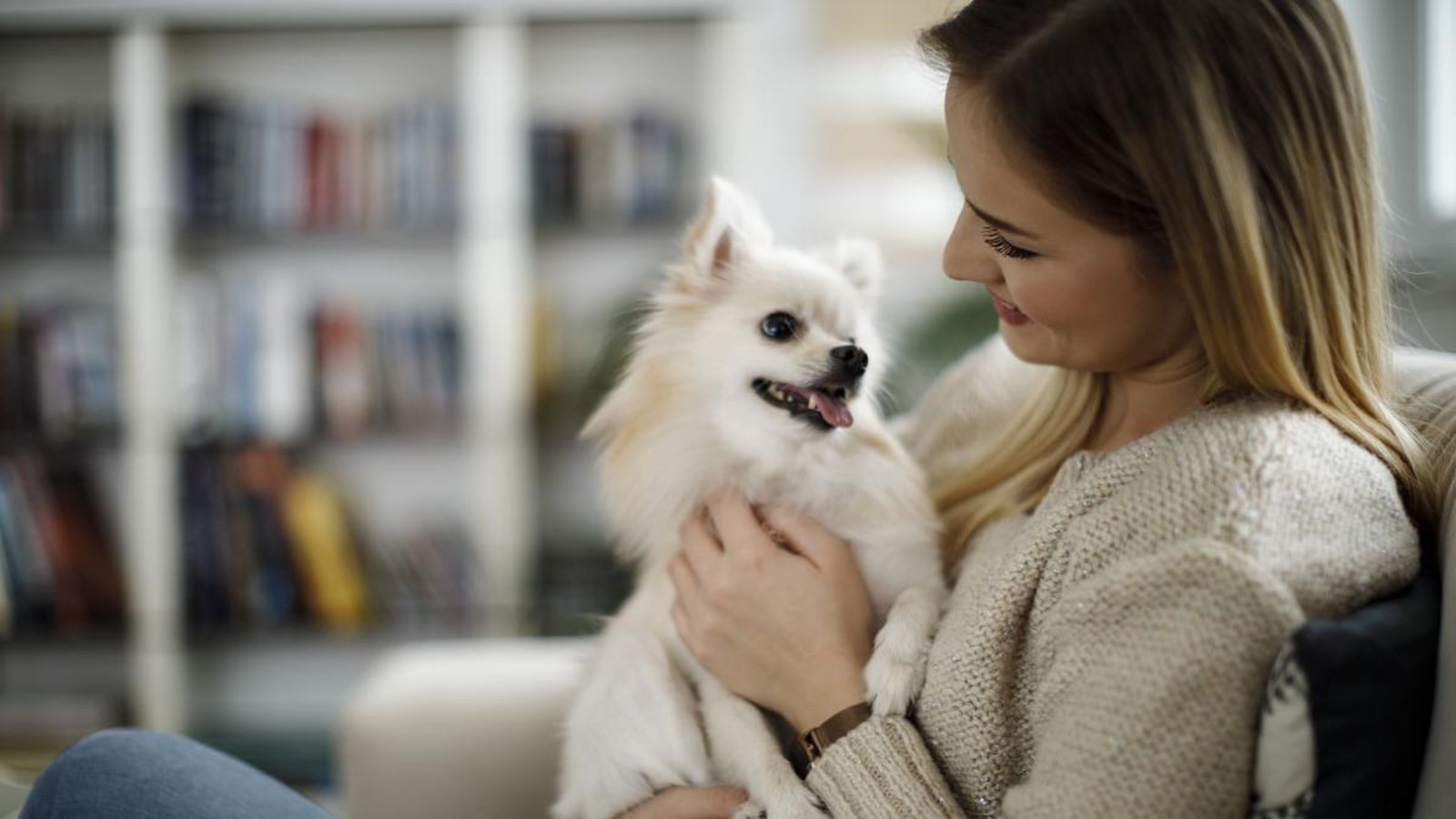 Un estudio revela que los perros son capaces de diferenciar idiomas de los humanos