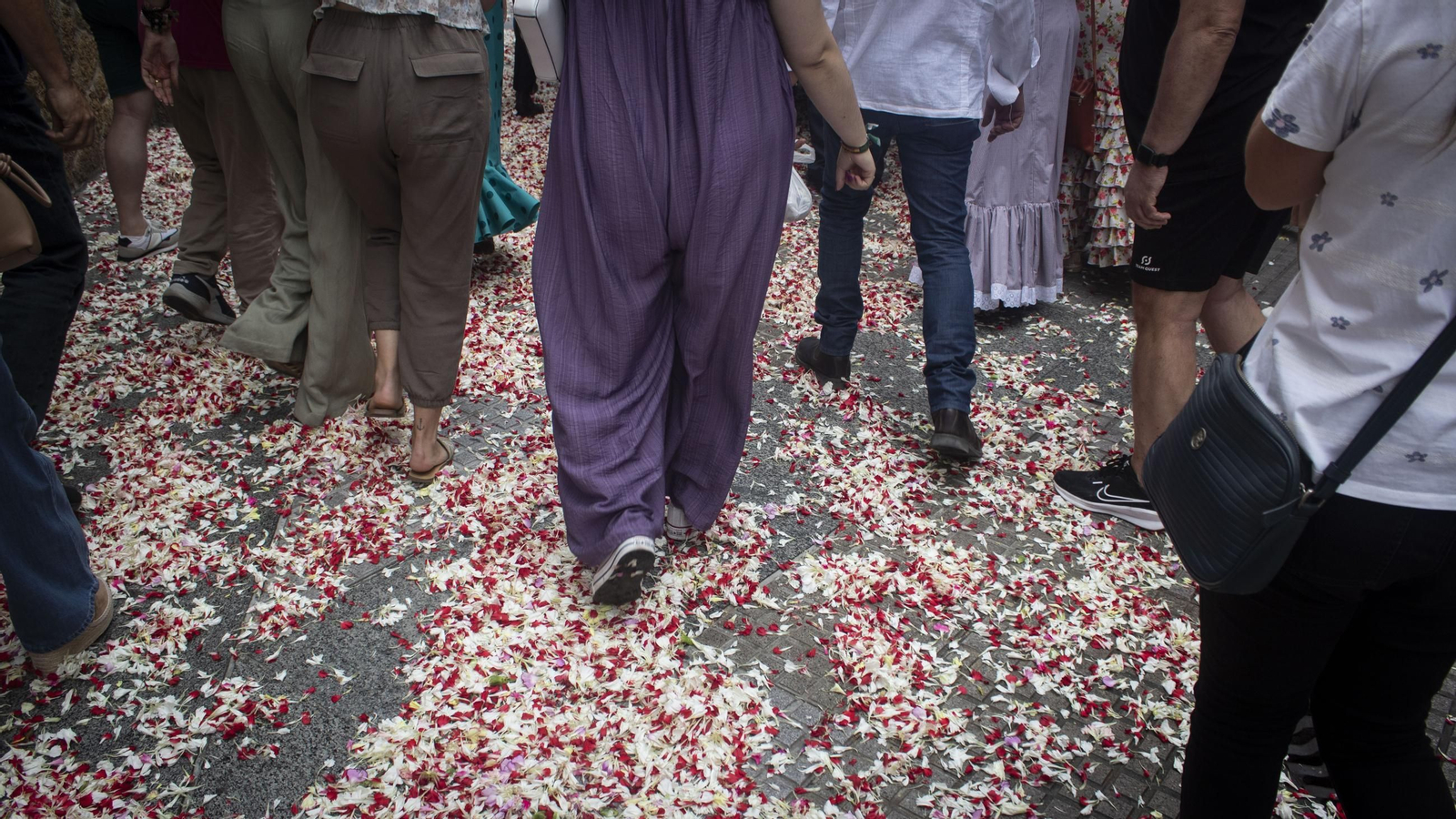 Romería del Rocío: las imágenes de la salida de la hermandad de San Fernando