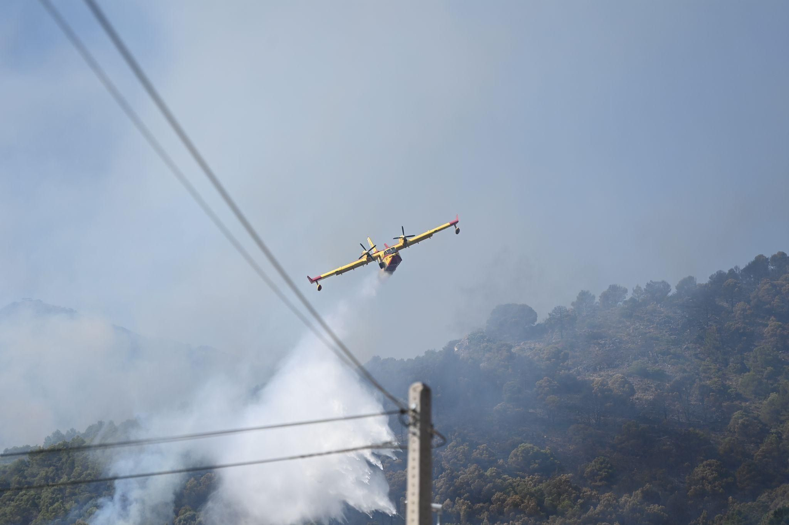 Las fotos de la lucha contra el fuego en Pinos de Alhaurín