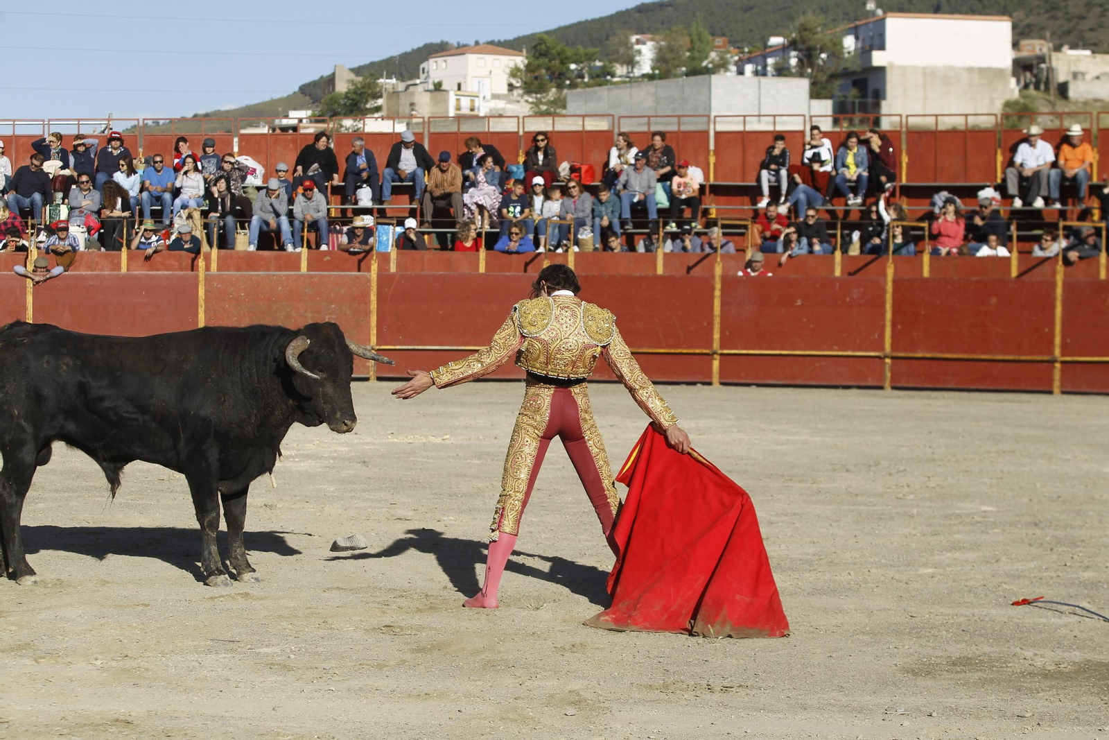 Fotogalería Novillada Fiestas de Abrucena