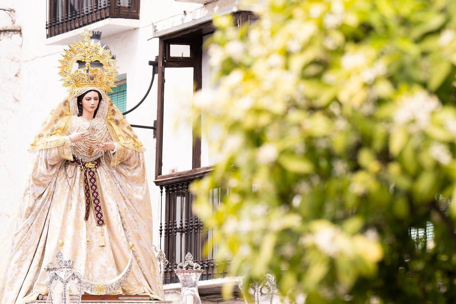 El Domingo de Ramos en Lucena, en imágenes
