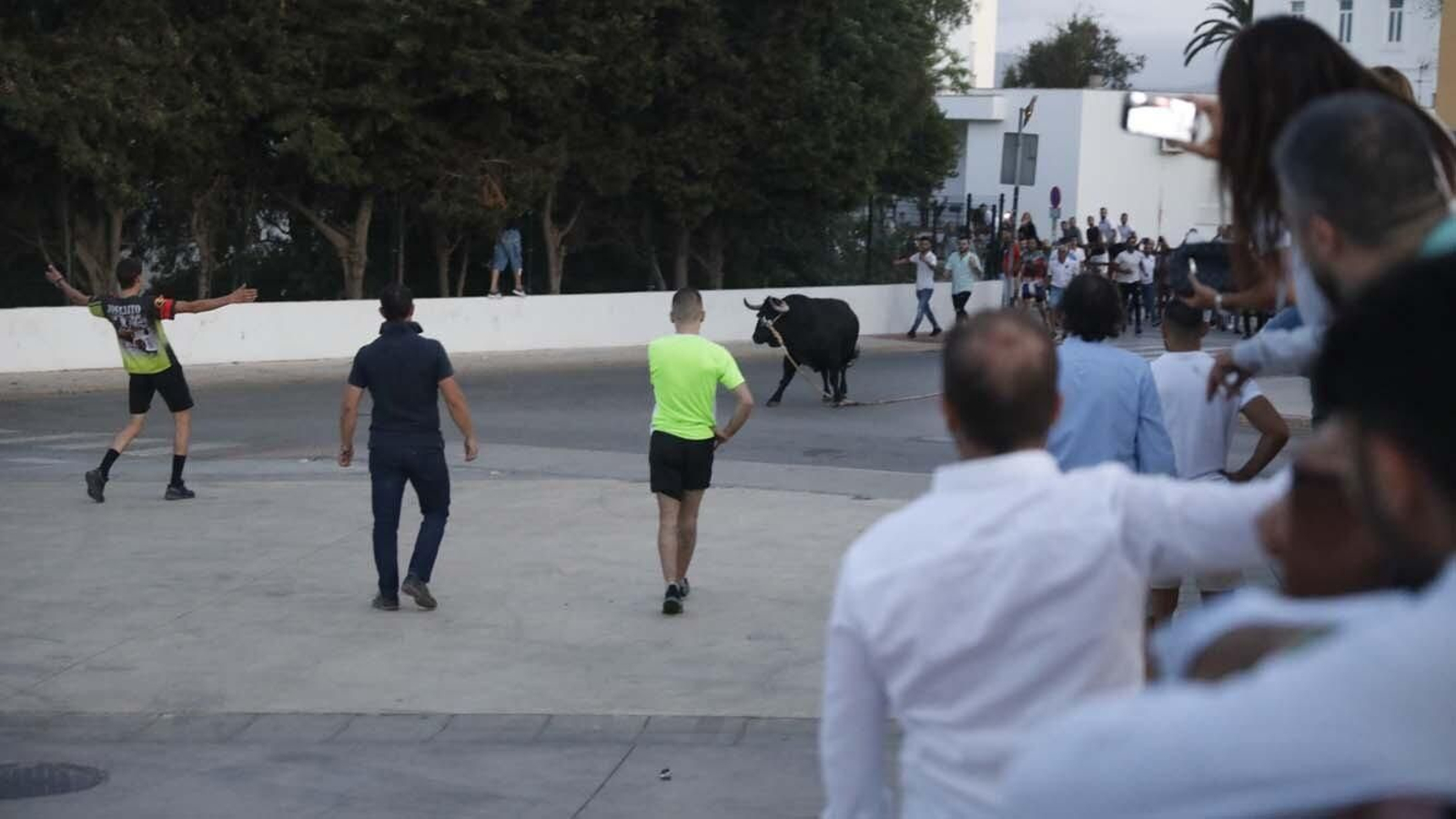 Las fotos del Toro del Aguardiente de San Roque