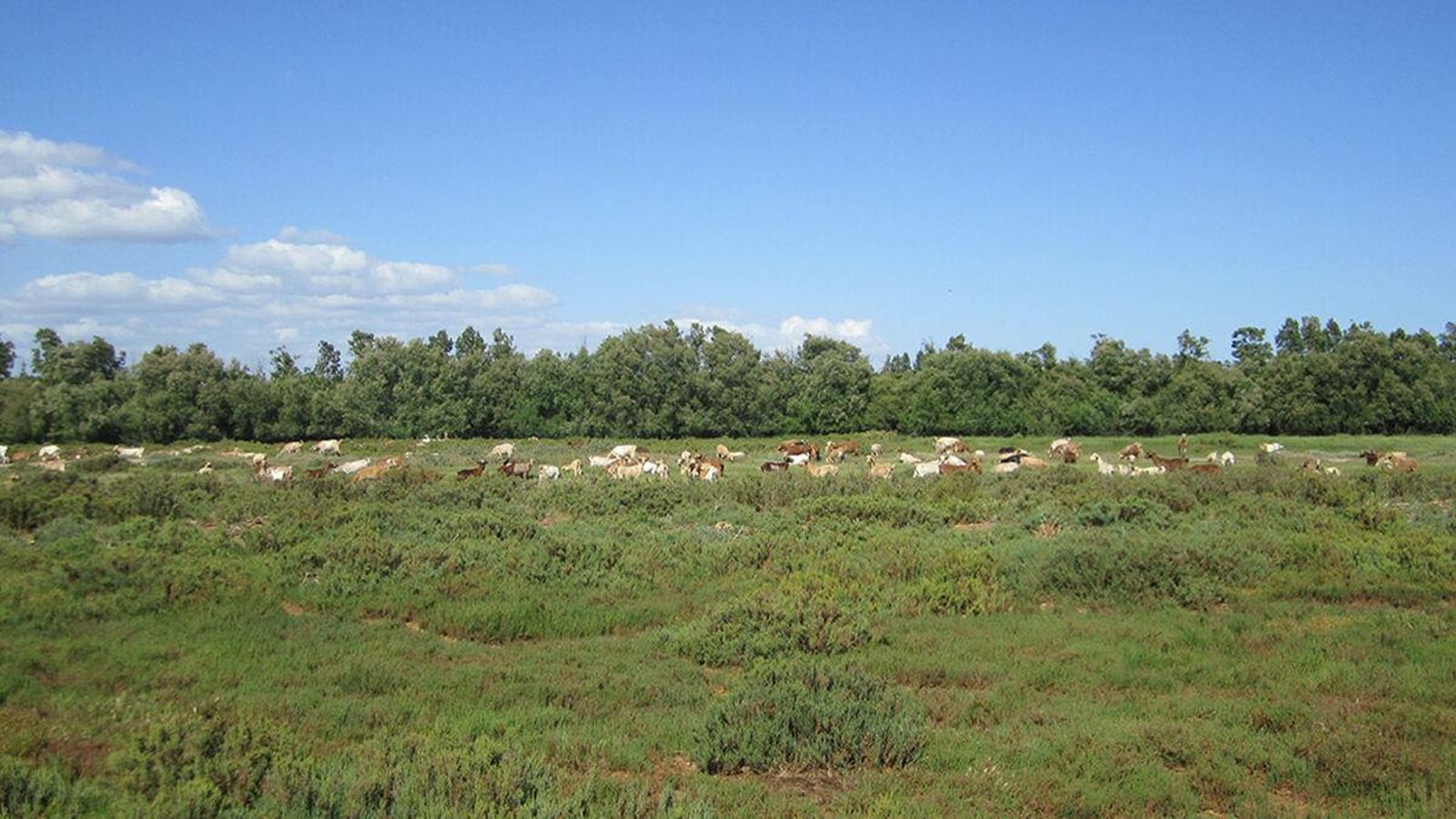 La Vía Verde Litoral