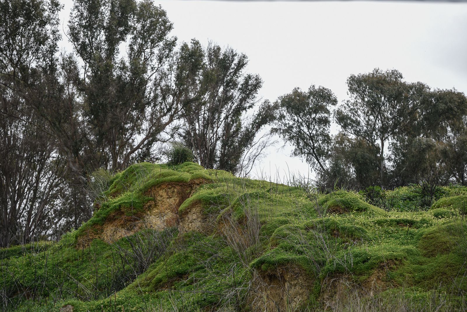 Imágenes de la mañana del domingo 12 de febrero en Huelva