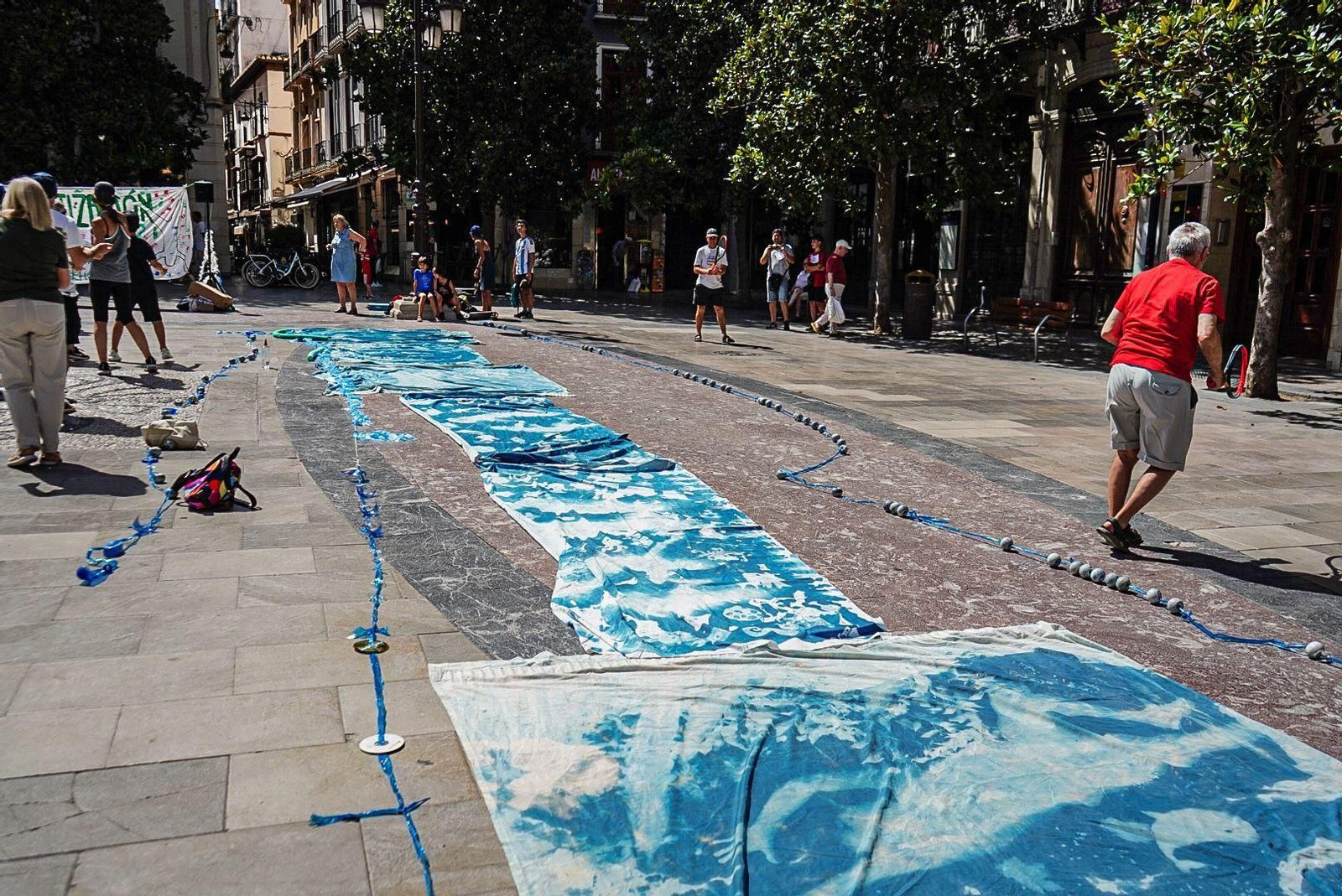 Imágenes: cursos de natación reivindicativos en Plaza del Carmen