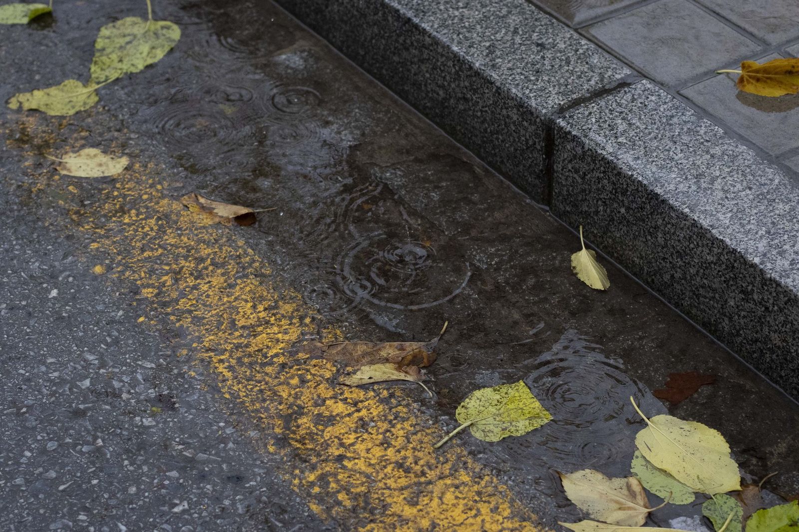 Granada bajo el temporal: imágenes de la ciudad durante la alerta naranja