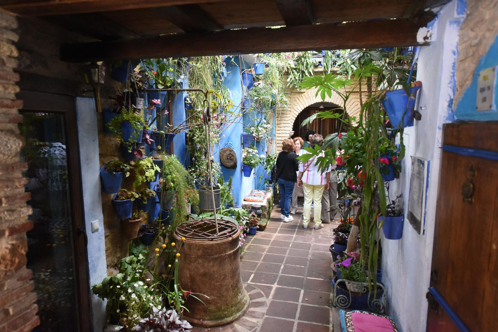 Los Patios de la ruta de San Lorenzo, en imágenes