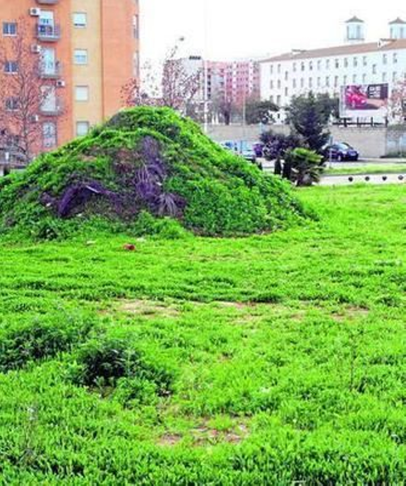 Acumulación de tierra en una de las parcelas del yacimiento de La Orden-Seminario.