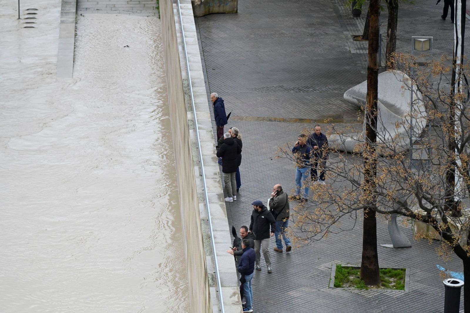 La impresionante crecida del río Guadalquivir: se acerca a los 6 metros a su paso por Córdoba