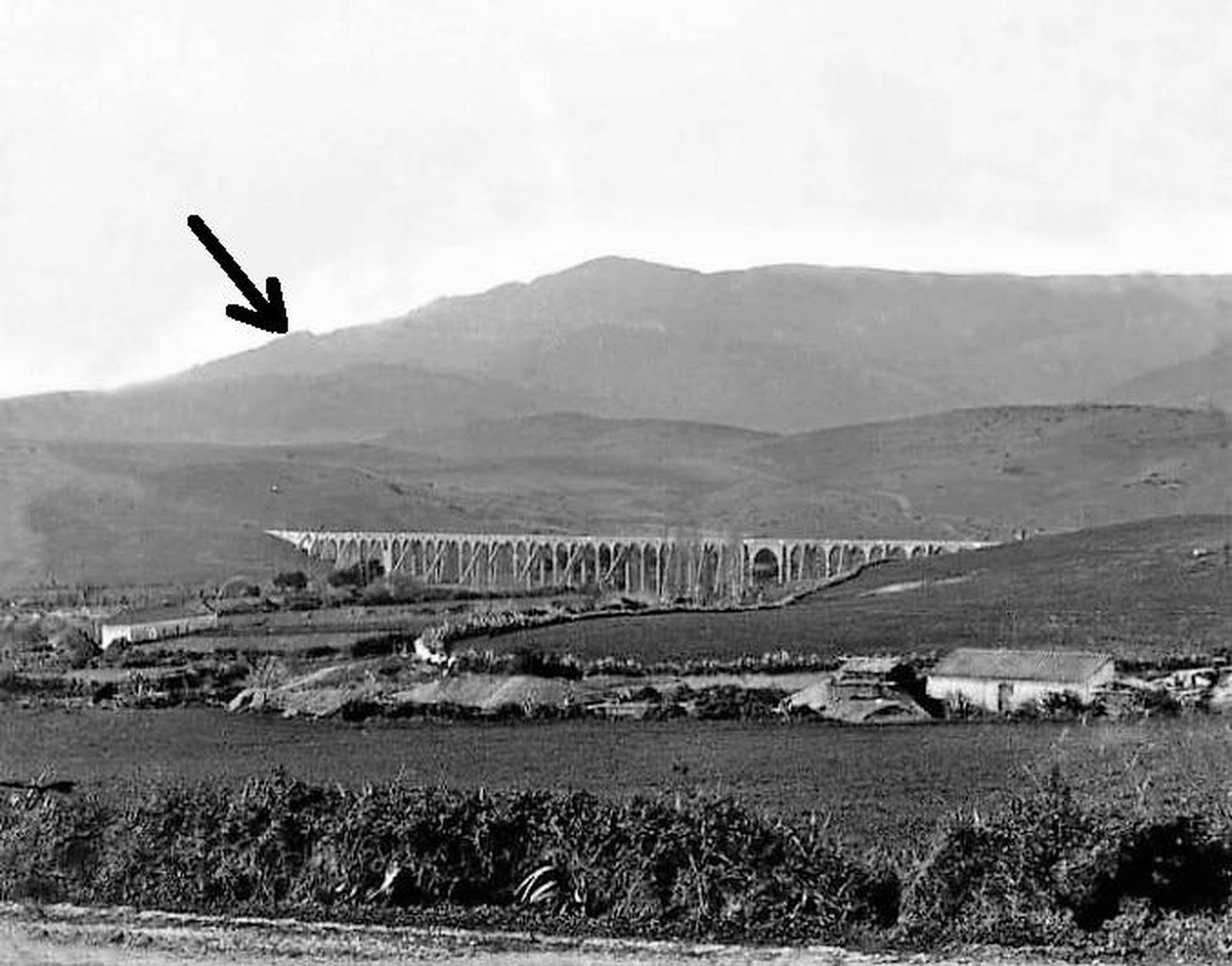 Zona de la dehesa de la Algamasilla