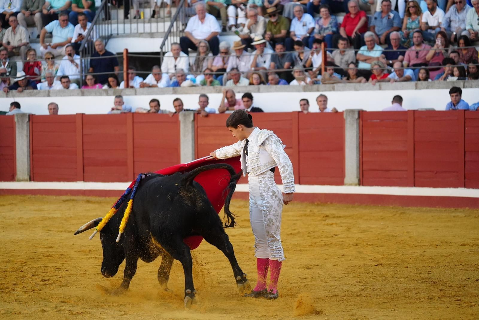 Las fotos del triunfo de Manuel Quintana en la feria taurina de Pozoblanco