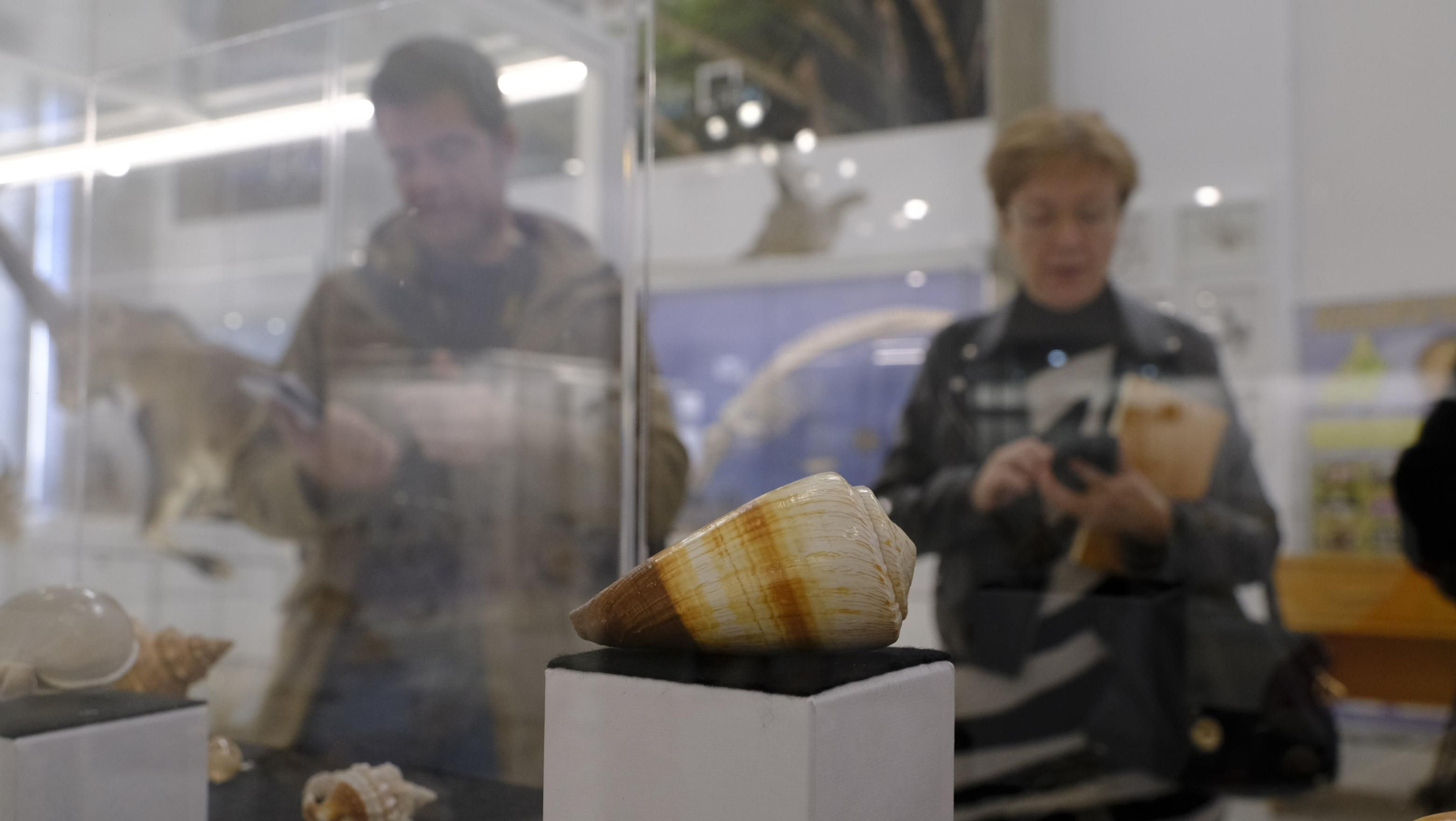 Descubre en estas fotos las maravillas que esconde el Pabellón de Historia Natural de la UAL