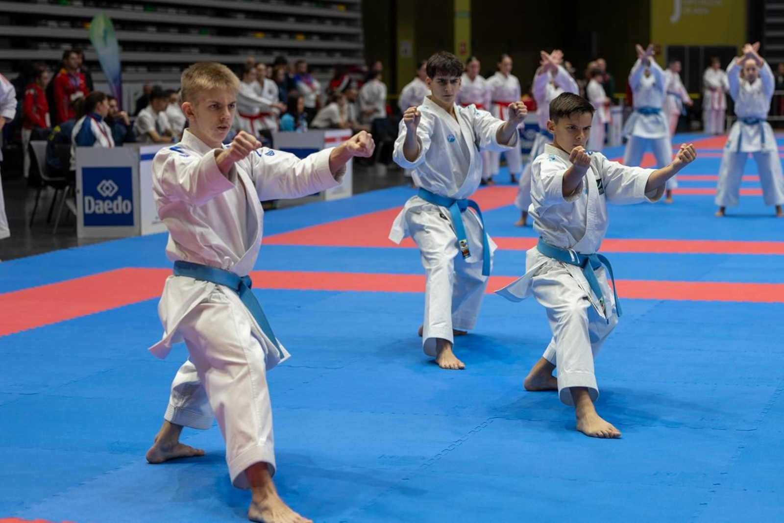 Campeonato de España de Kárate cadete, júnior y sub 21 brilla en Jaén