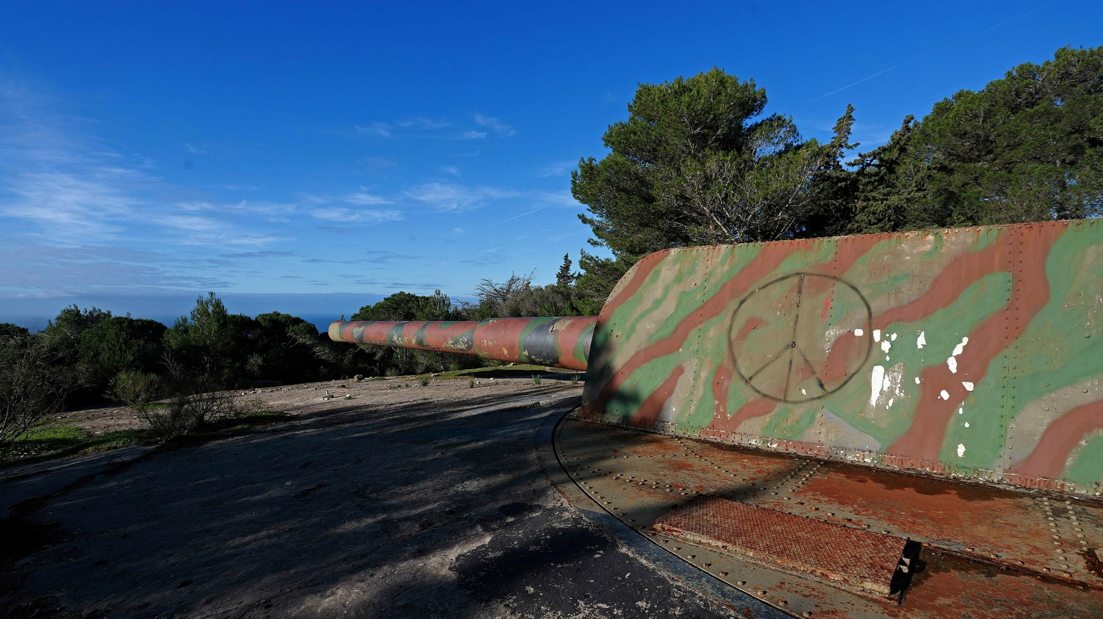 Las mejores fotos de Paloma Alta