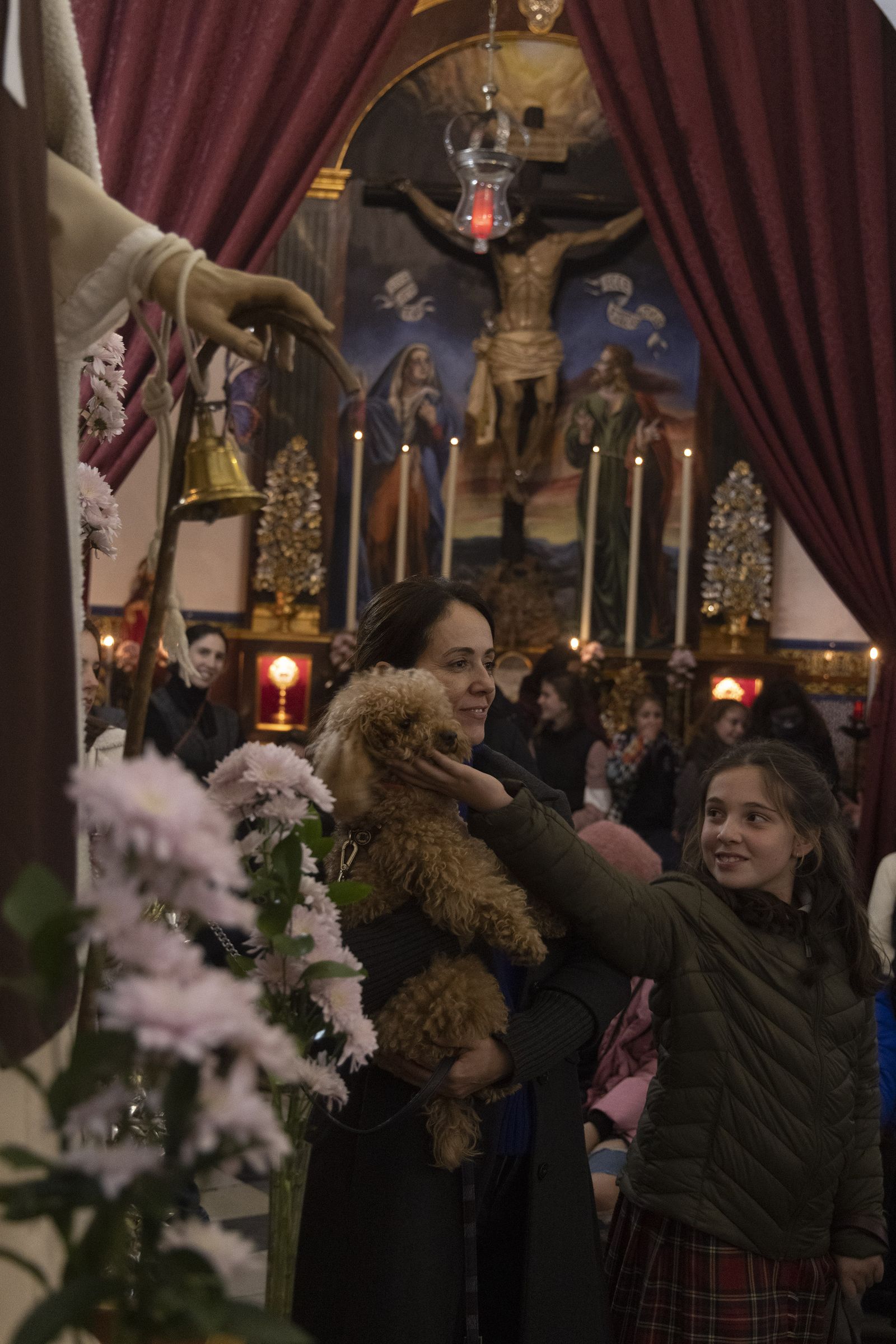Bendición de animales por San Antón en la Divina Pastora, todas las fotos