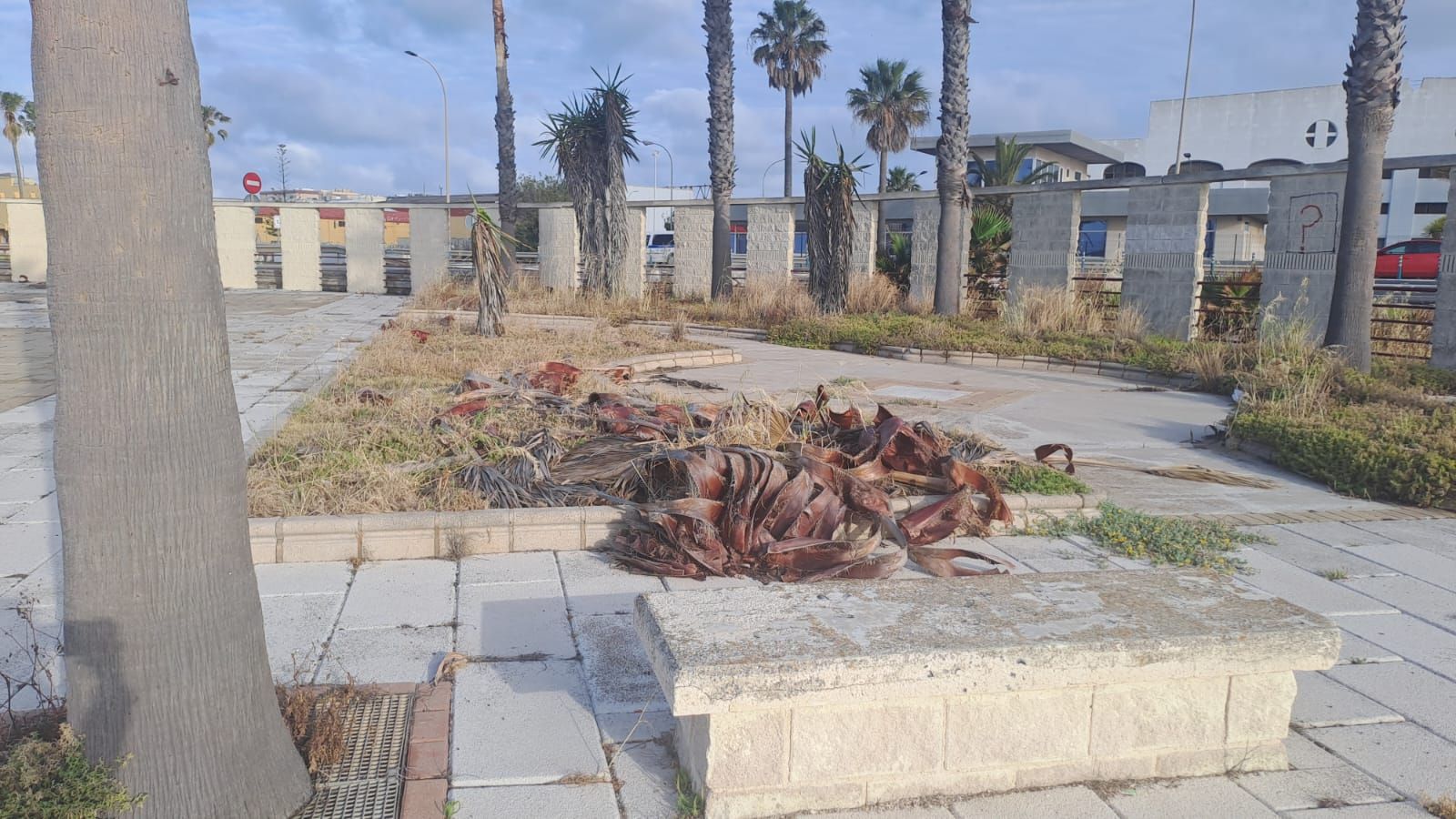 El estado de la zona es lamentable