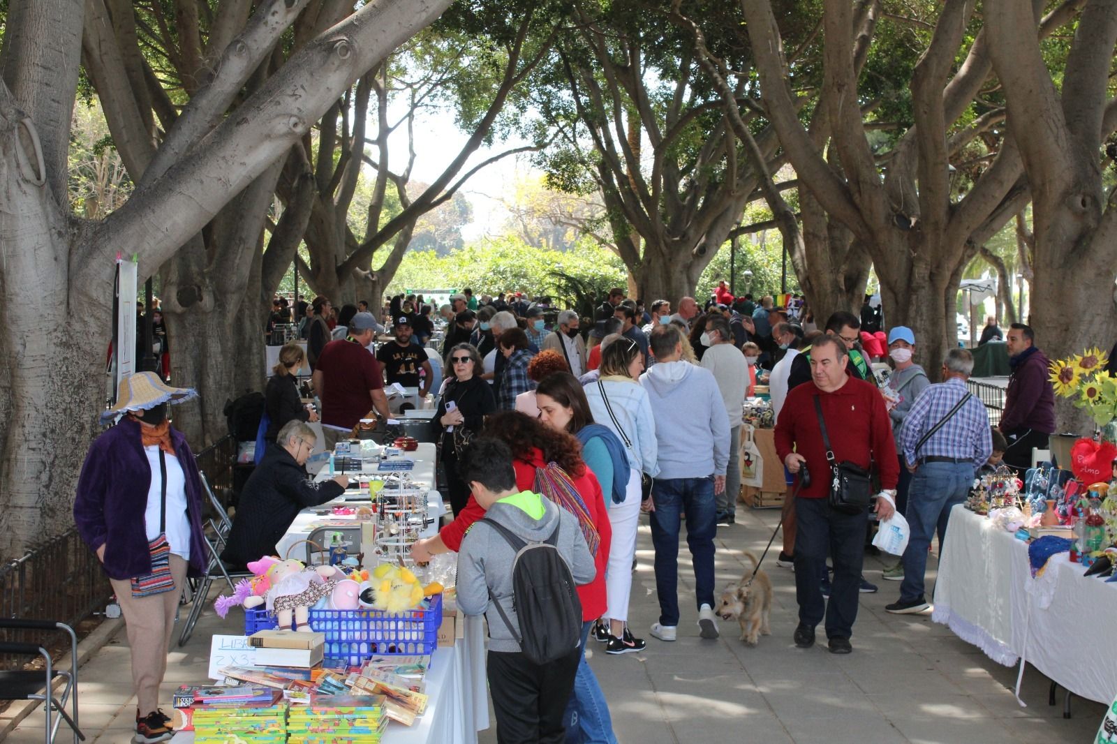 Rastro de antigüedades en el parque