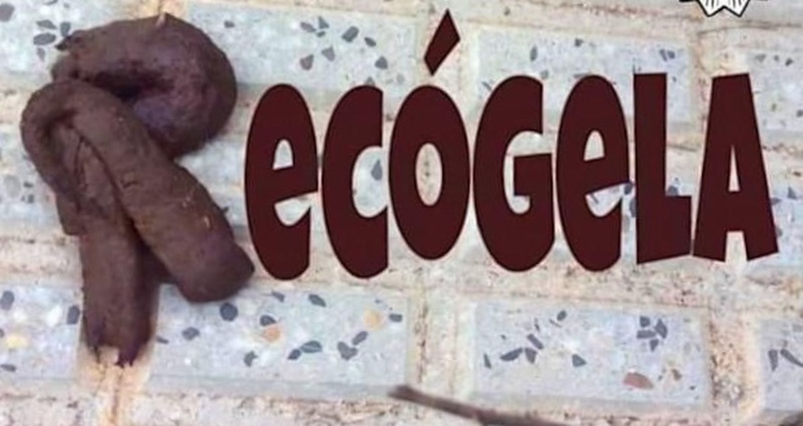 Mensaje para los dueños de los 18 mil perros de Cádiz