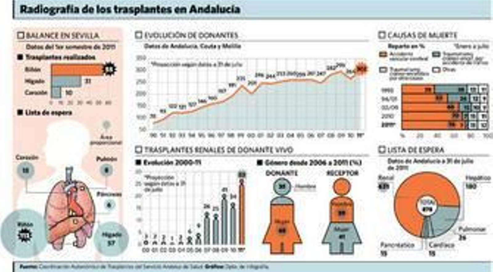 El SAS apuesta por la donación cruzada para los pacientes renales