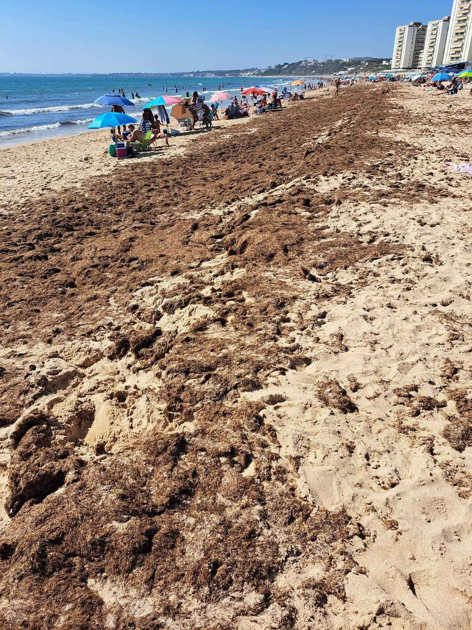 Una imagen de la playa de Santa Catalina, este fin de semana. Una imagen de la playa de Santa Catalina, este fin de semana.
