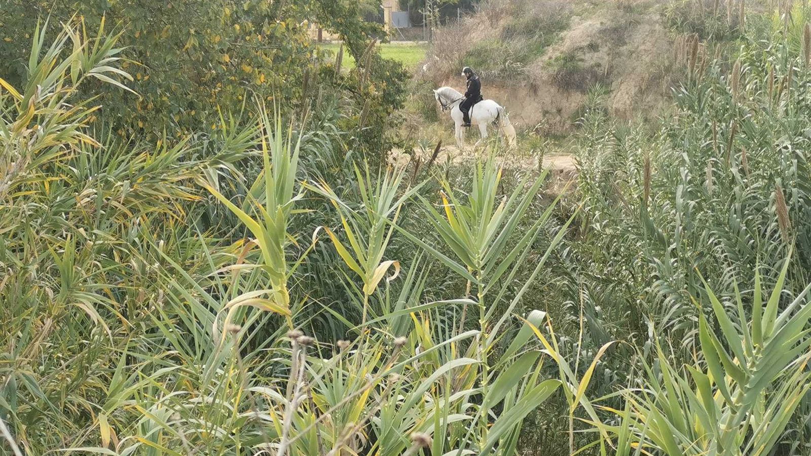 Un policía, durante la búsqueda.