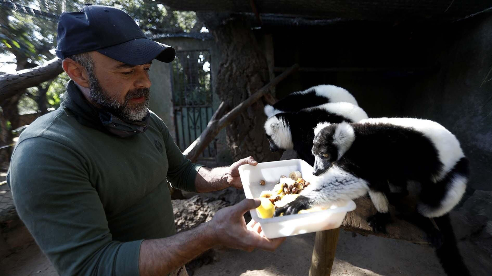 Las fotos del Zoo de Castellar de la Frontera