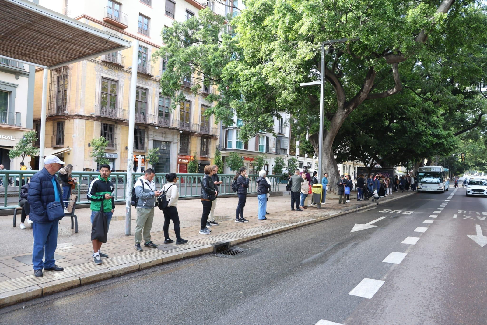 La huelga de autobuses en Málaga en imagenes