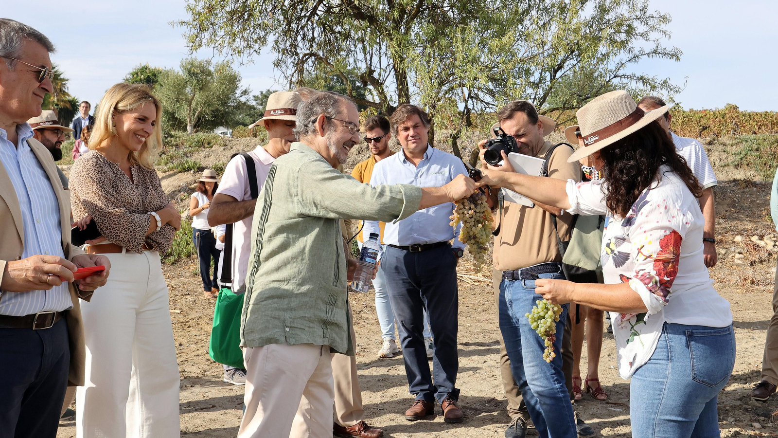 Vinos ecológicos con uva Pedro Ximénez