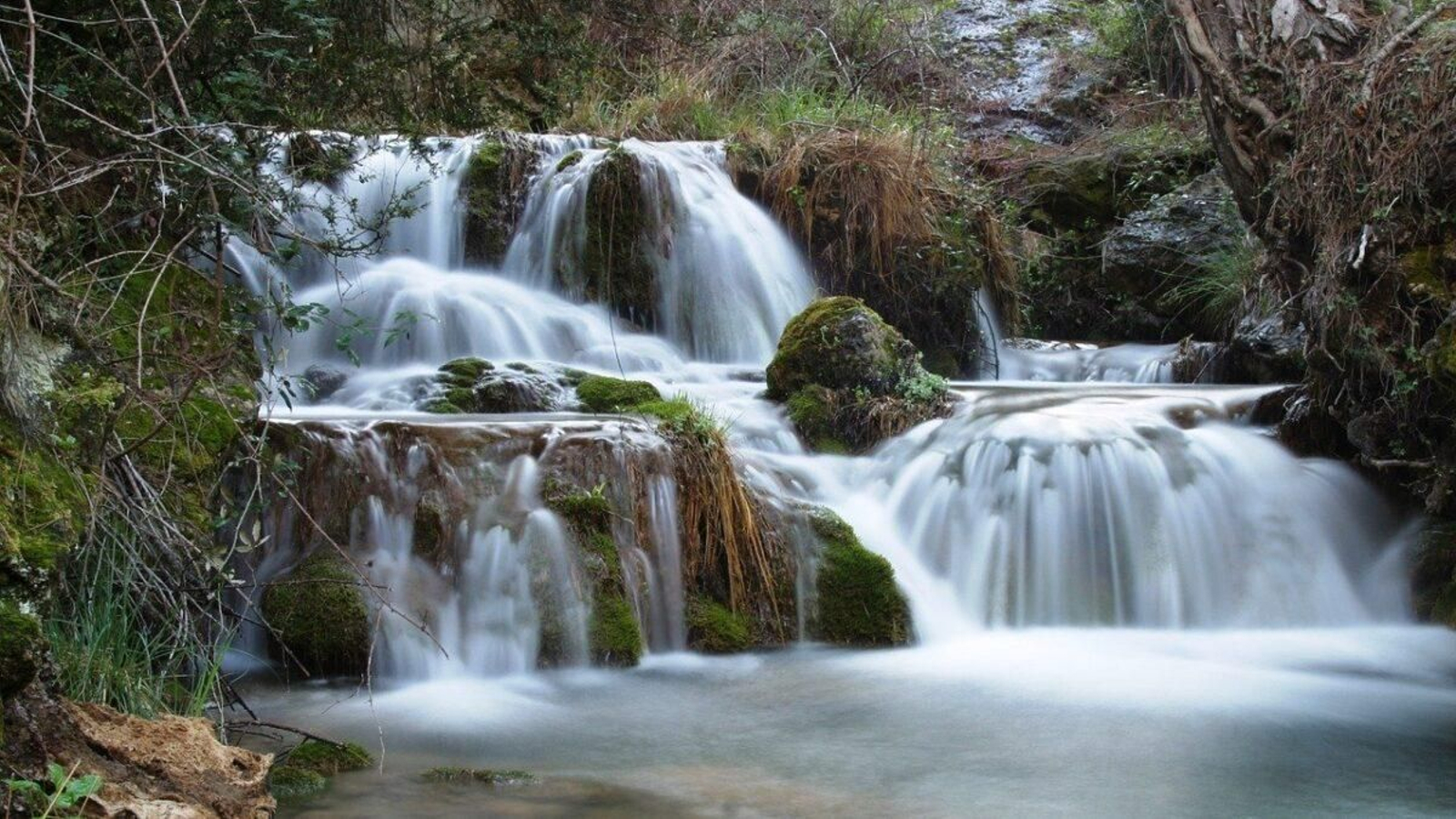 El Río Borosa, un oasis natural en el corazón de la Sierra de Cazorla.